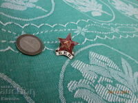 Semn rar BKP bronz email excelent