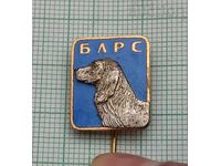 INSIGNĂ EMAIL BLRS CÂINE