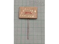 КРЕМЪЛ МОСКВА КУЛИ ЗНАЧКА