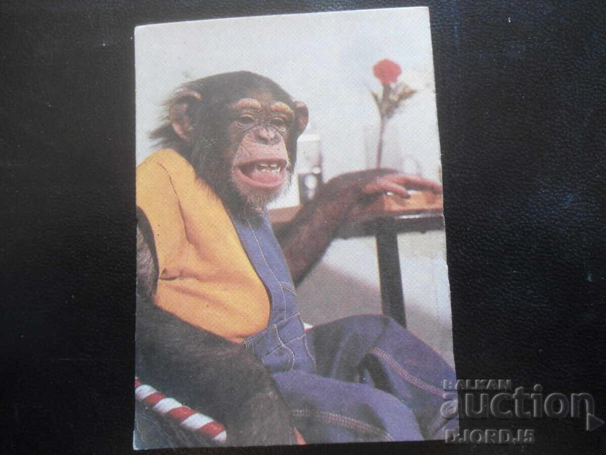 Παλαιό ρωσικό ημερολόγιο, 1981 Παλαιό ρωσικό ημερολόγιο, 1981