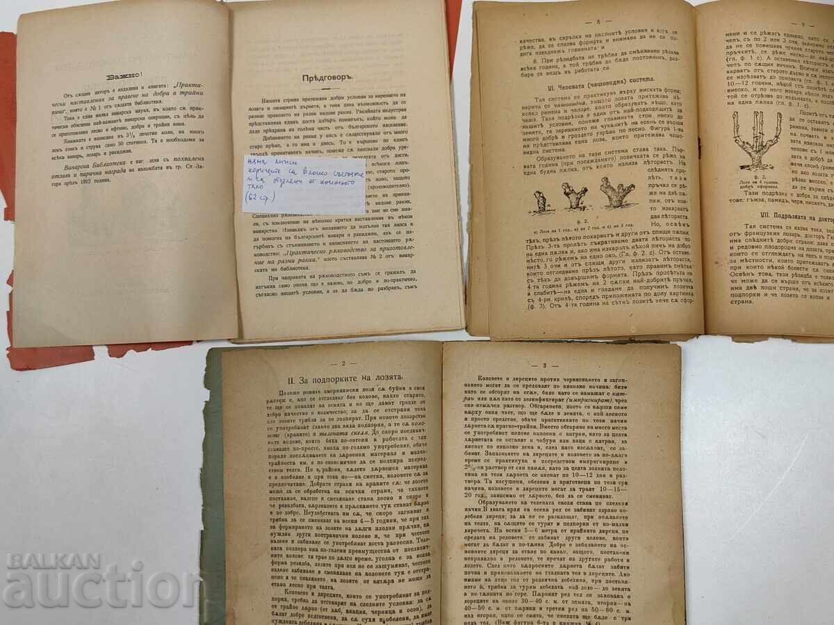 Auction Lot of Rakia and Vineyard Pruning, Preparation of Various Rakias Auction Lot of Rakia and Vineyard Pruning, Preparation of Various Rakias