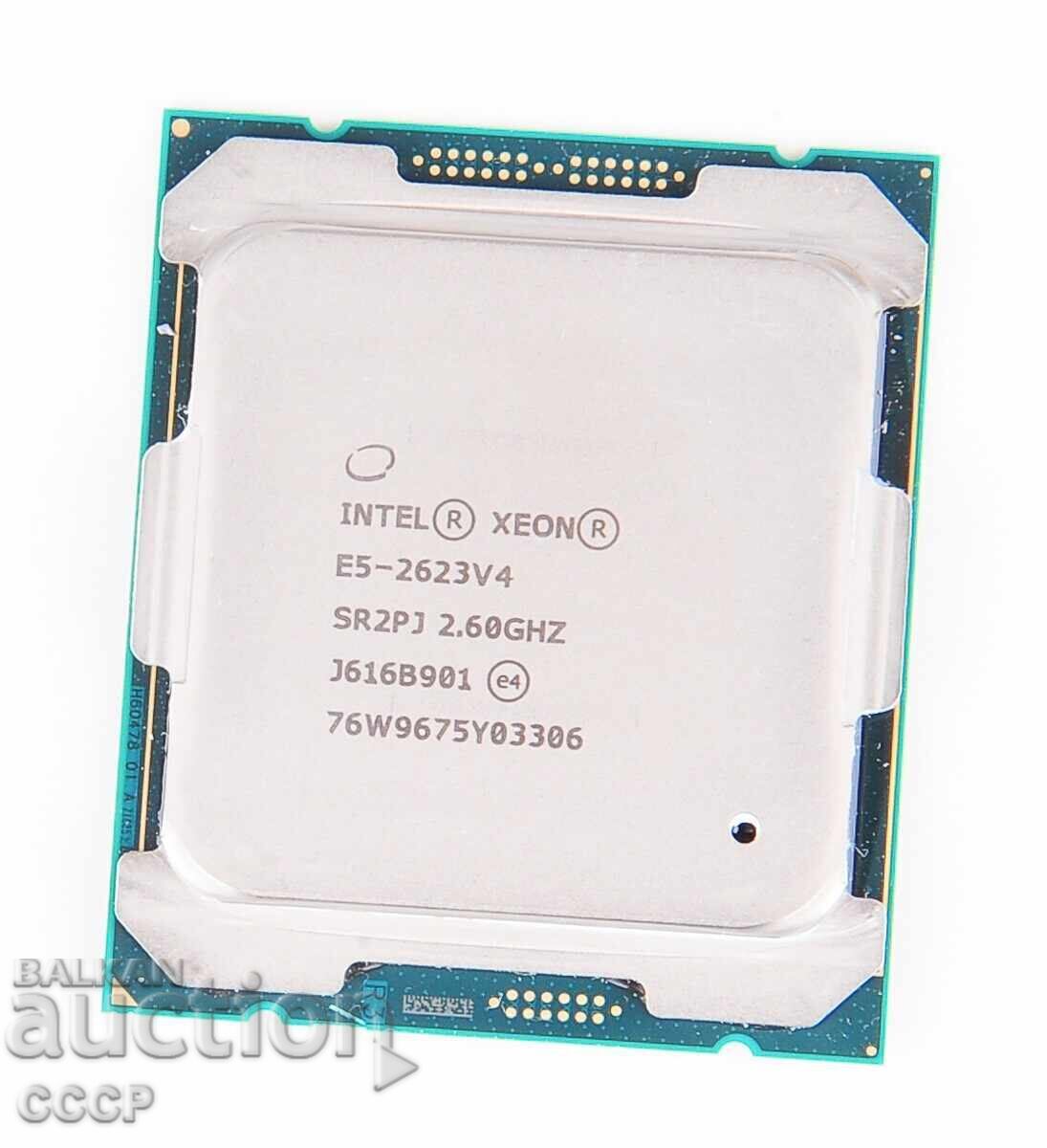 Intel Xeon E5-2623v4 Server / Server Processors
