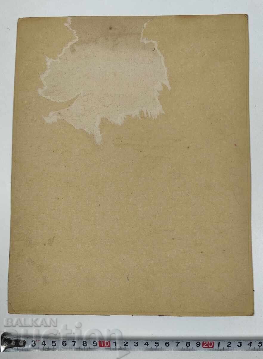 MEDAL ORDER FERDINAND OLD LARGE PHOTO CARDBOARD - 7 MEDAL ORDER FERDINAND OLD LARGE PHOTO CARDBOARD - 7