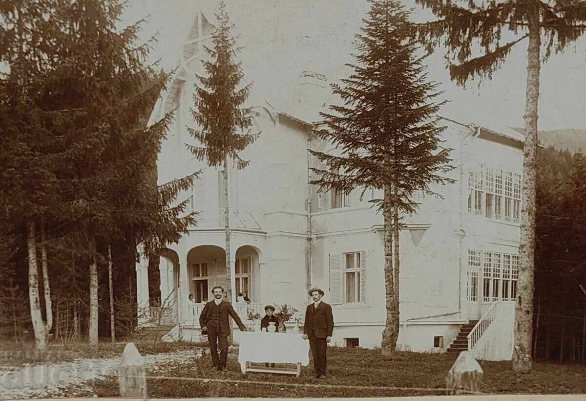 Auction OLD LARGE PHOTO PHOTOGRAPH CARD Auction OLD LARGE PHOTO PHOTOGRAPH CARD