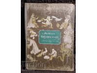 Unknown Youth. Tales. Ran Bosilek. 1955