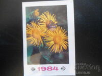 Παλαιό ρωσικό ημερολόγιο, 1984