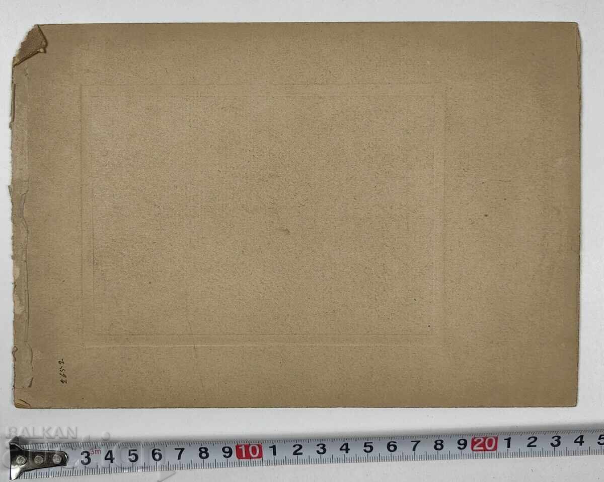 SOFIA FEMEIE DOAMNĂ VECHE POZĂ FOTOGRAFIE CARTON - 7