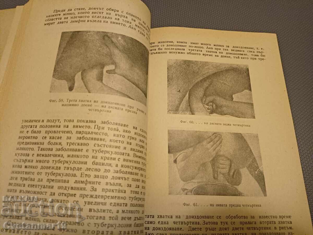 Delivery of Guide to Milking