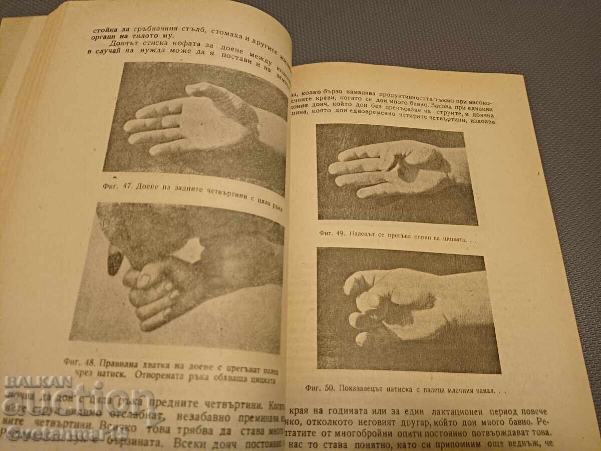 Guide to Milking - 5