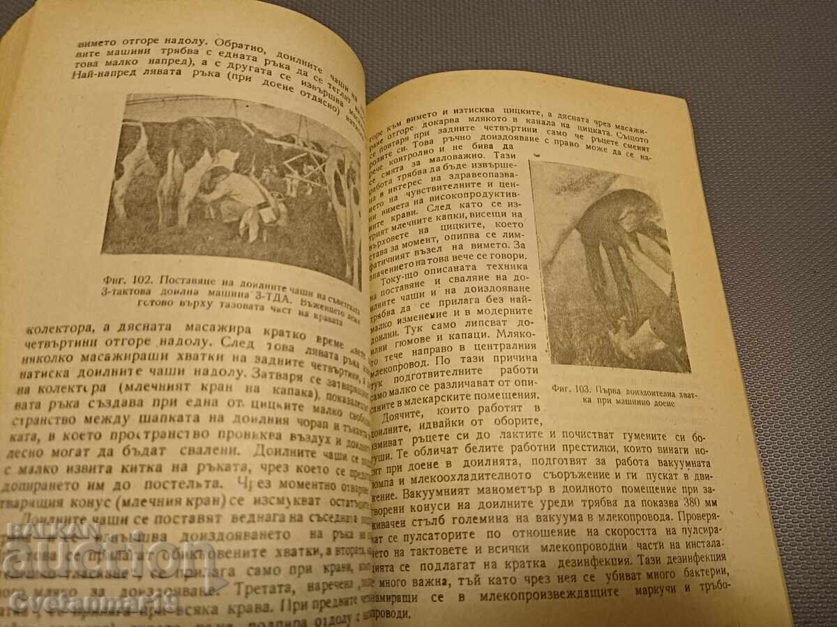 Guide to Milking - 6