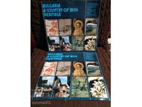 Social Brochures Bulgaria. English Language