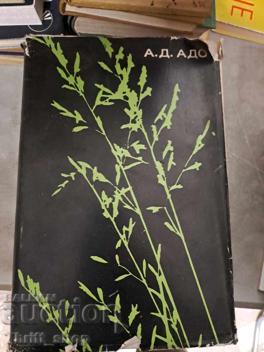 Общая алергология Общая алергология