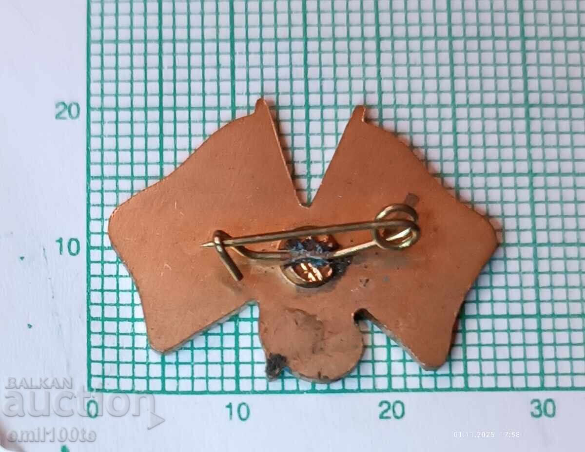 Livrarea Emblemă - Antonov Marea Britanie URSS avioane AN