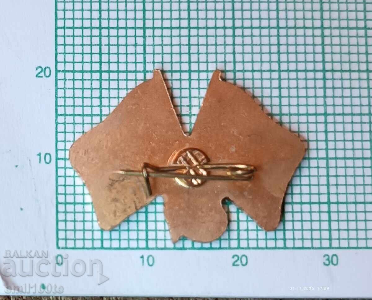 Delivery of Badge - Antonov, Great Britain, USSR, Aircraft AN