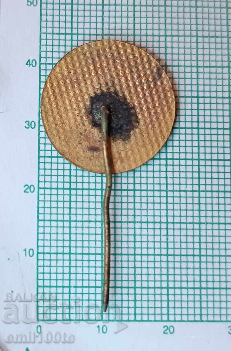 Delivery of Badge - Ministry of National Education NRB Delivery of Badge - Ministry of National Education NRB