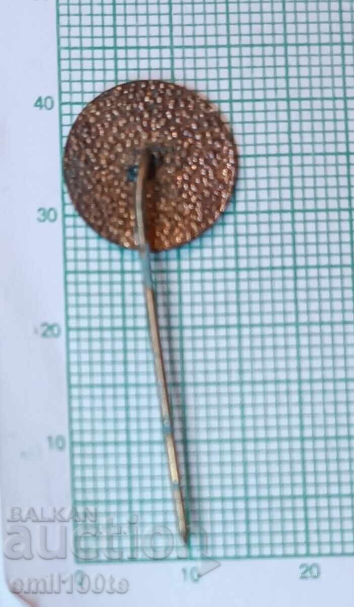 Delivery of Badge - Shooting Excellent Marksman