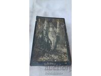 Carte poștală M. Trube Vŭ lesu 1926