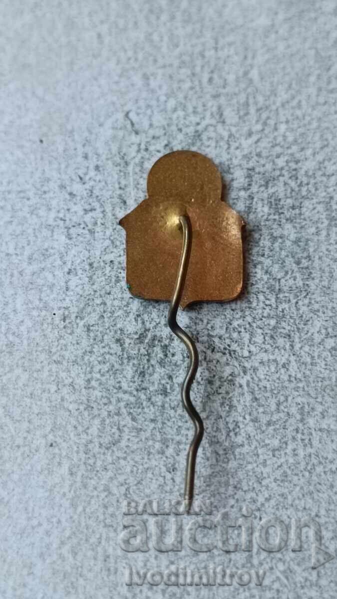 Значка 50 години футбол с цена 5.85 лв. | € 2.99