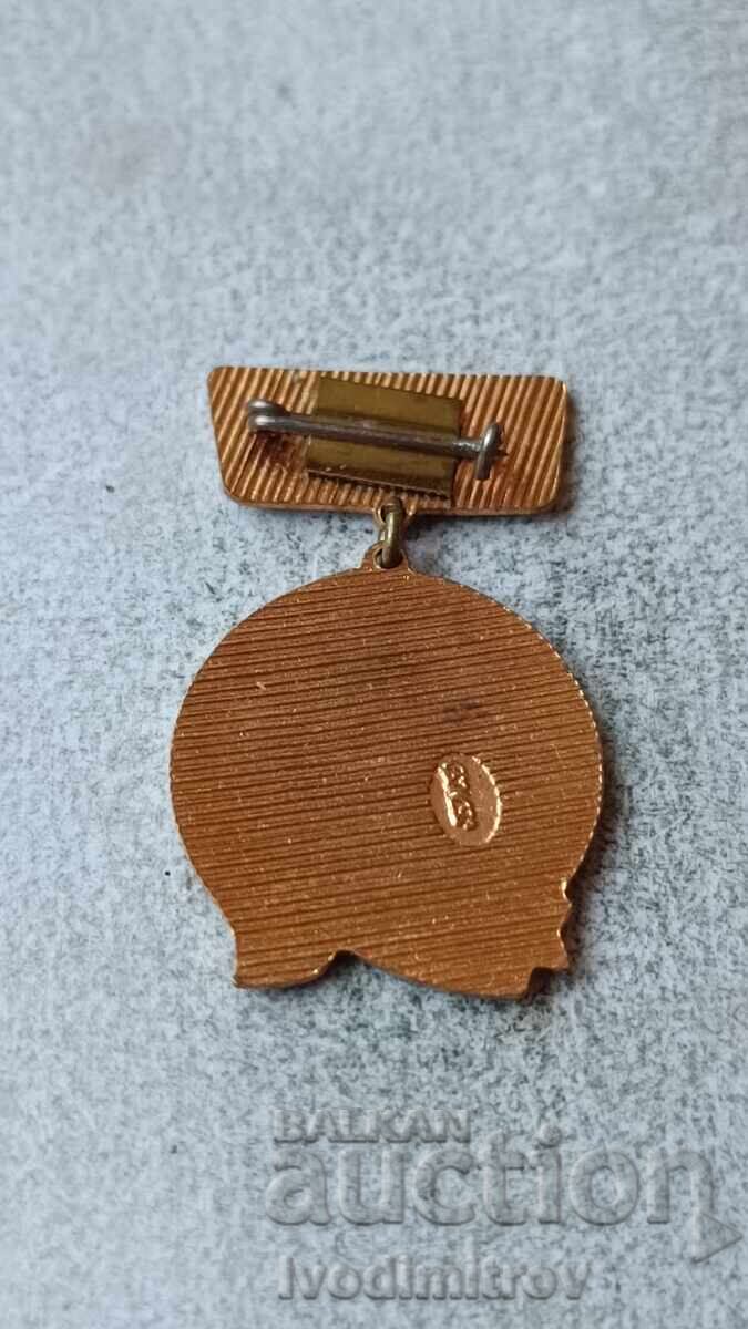 Σήμα Ακαδημαϊκής και Αθλητικής Αριστείας με τιμή 5.85 BGN | € 2.99