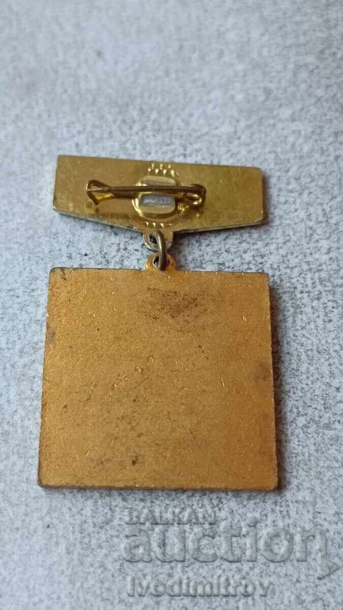 Значка СБА За активна дейност с цена 4.65 лв. | € 2.38