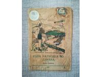 O plimbare pe Dunăre / Vasil Marinov