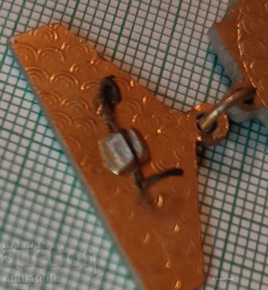 Znachka - Sport και Ποδοσφαιρικός Σύλλογος Trudovыe Rezervы 1η θέση SSSR - 5