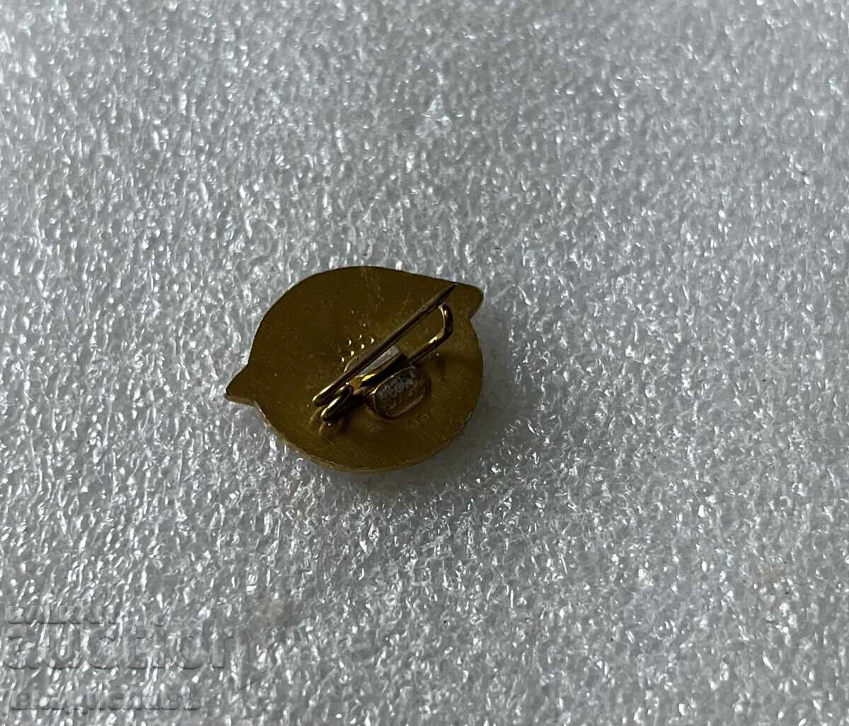 LEVski Sofia 75 de ani cu preț 14.00 BGN | € 7.16