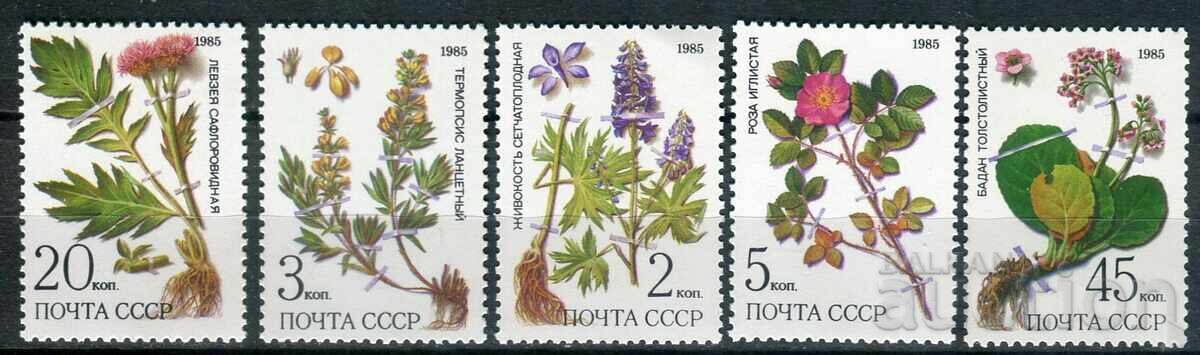 USSR 1983. MnH - Flora, medicinal plants USSR 1983. MnH - Flora, medicinal plants