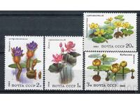 Σ.Σ.Σ.Ρ. 1984 MnH - Χλωρίδα, φυτά