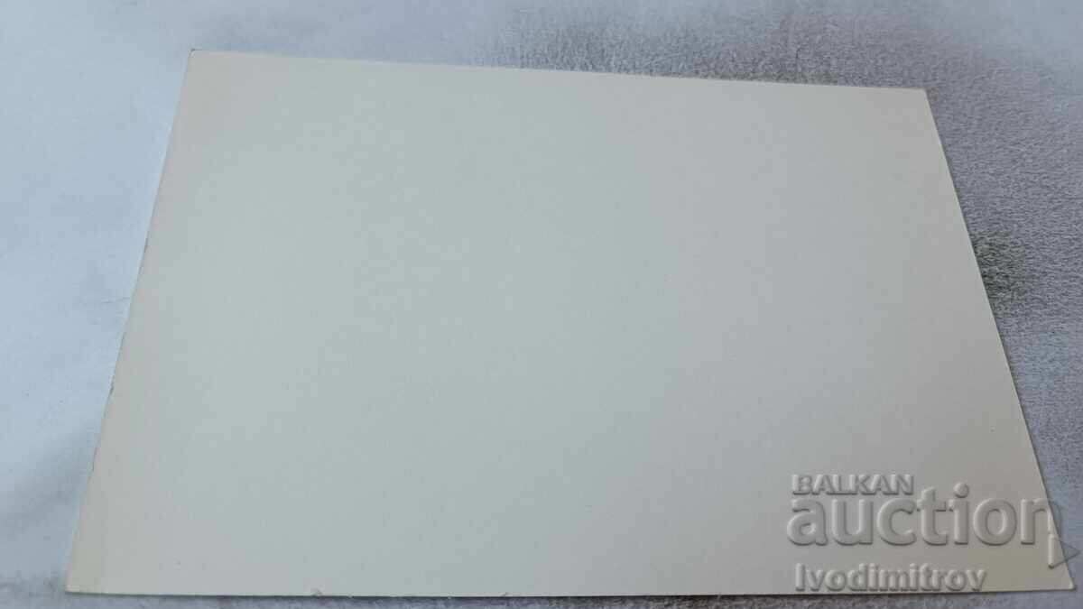 Пощенска картичка Семейството на Минчо Ив. Вазов с цена 0.85 лв. | € 0.43