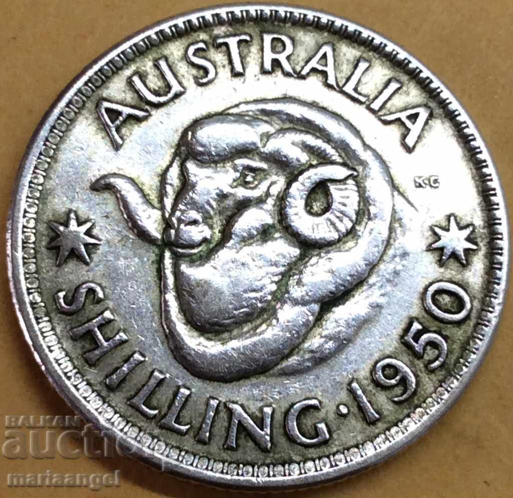 1950 1 shilling Australia silver - not common 1950 1 shilling Australia silver - not common