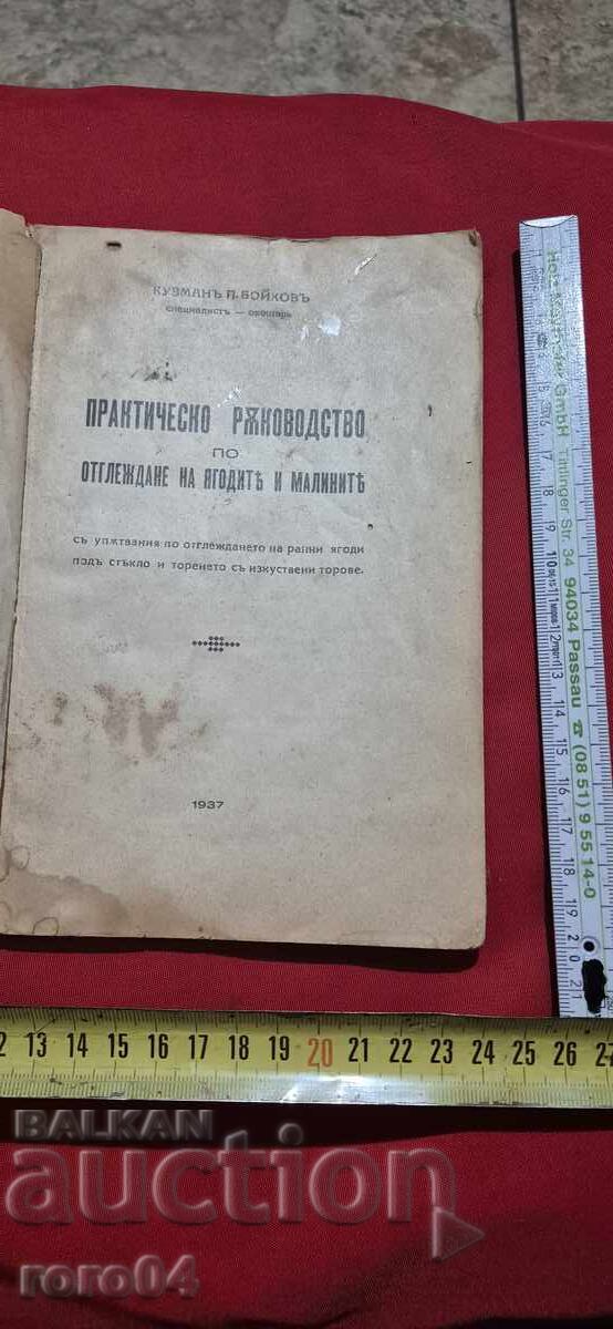 Πρακτικός Οδηγός για την Καλλιέργεια Φράουλας και Σμέουρων με τιμή 45.00 BGN | € 23.01