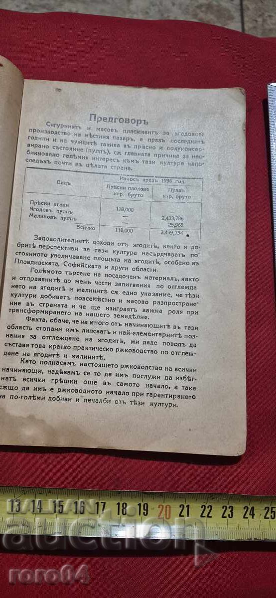 Δημοπρασία Πρακτικός Οδηγός για την Καλλιέργεια Φράουλας και Σμέουρων