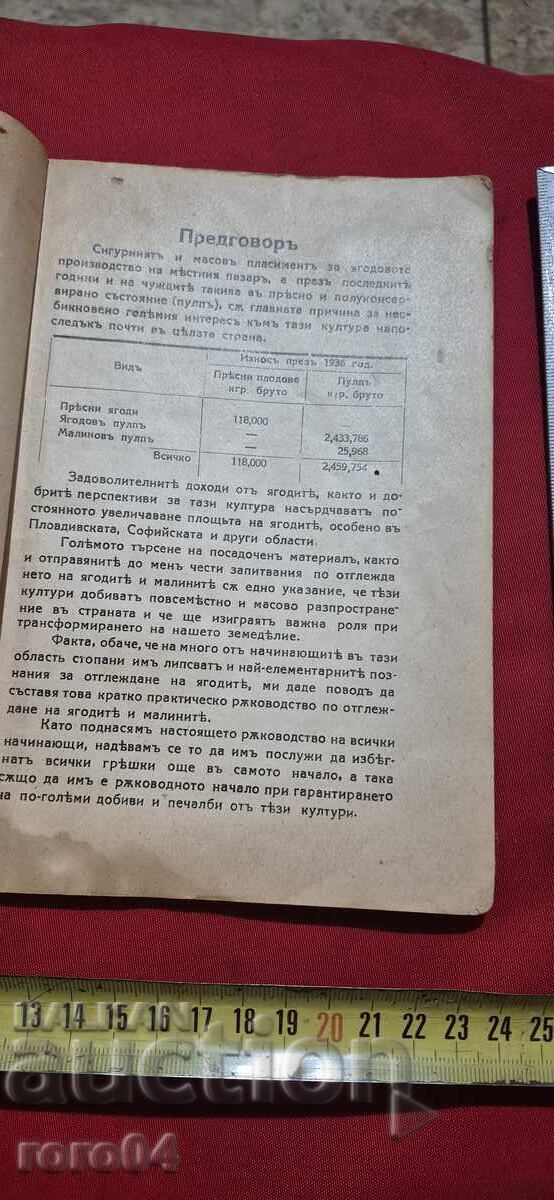 Licitație GHID PRACTIC PENTRU CULTIVAREA CĂPȘUNILOR ȘI ZMEURULUI