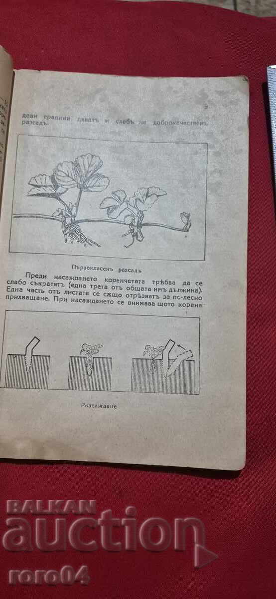 Πρακτικός Οδηγός για την Καλλιέργεια Φράουλας και Σμέουρων - 5