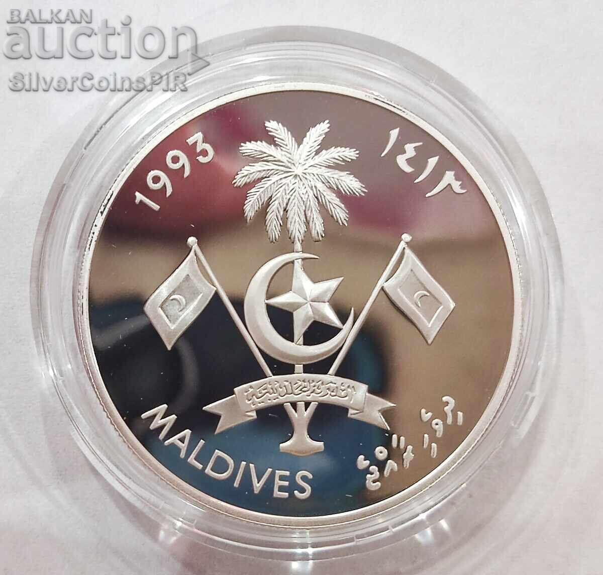 Auction Silver 250 Rufiyaa Skylab 1993 Maldives Auction Silver 250 Rufiyaa Skylab 1993 Maldives
