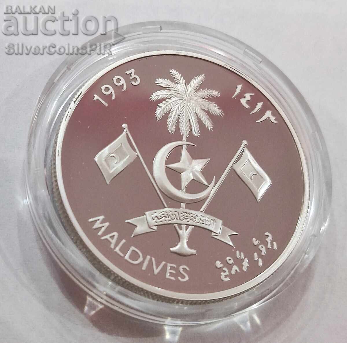 Delivery of Silver 250 Rufiyaa Skylab 1993 Maldives Delivery of Silver 250 Rufiyaa Skylab 1993 Maldives