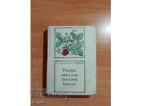 Μούρα, βατόμουρα, αγριοτριανταφυλλιά, φραγκοστάφυλα