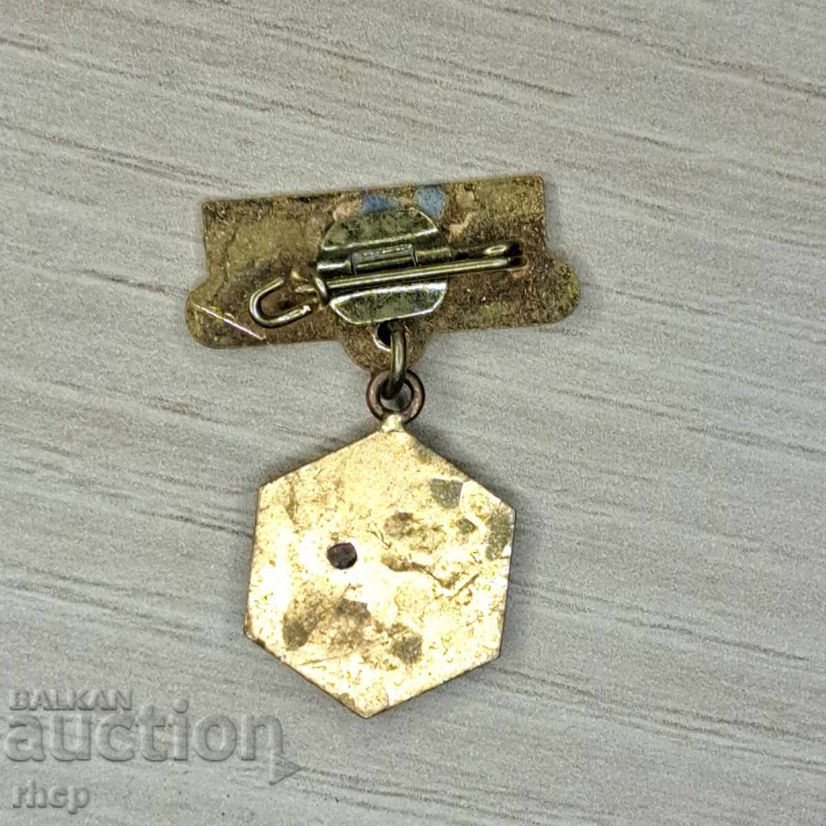 Пчеларство 1963 стара значка Румъния емайл с цена 35.90 лв. | € 18.36