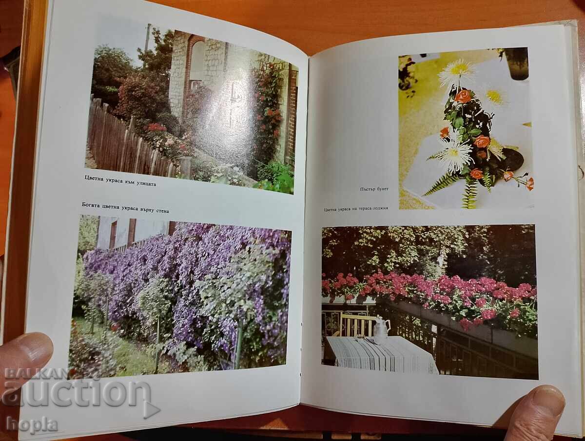 Licitație ACASĂ, FAMILIE, VIAȚĂ