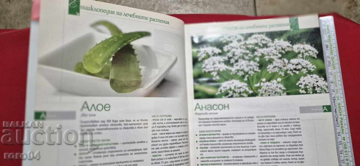 Delivery of ENCYCLOPEDIA OF MEDICINAL PLANTS