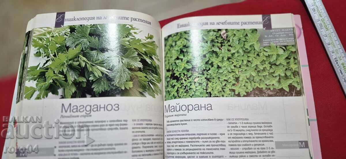 ΕΓΚΥΚΛΟΠΑΙΔΕΙΑ ΤΩΝ ΘΕΡΑΠΕΥΤΙΚΩΝ ΦΥΤΩΝ - 5 ΕΓΚΥΚΛΟΠΑΙΔΕΙΑ ΤΩΝ ΘΕΡΑΠΕΥΤΙΚΩΝ ΦΥΤΩΝ - 5