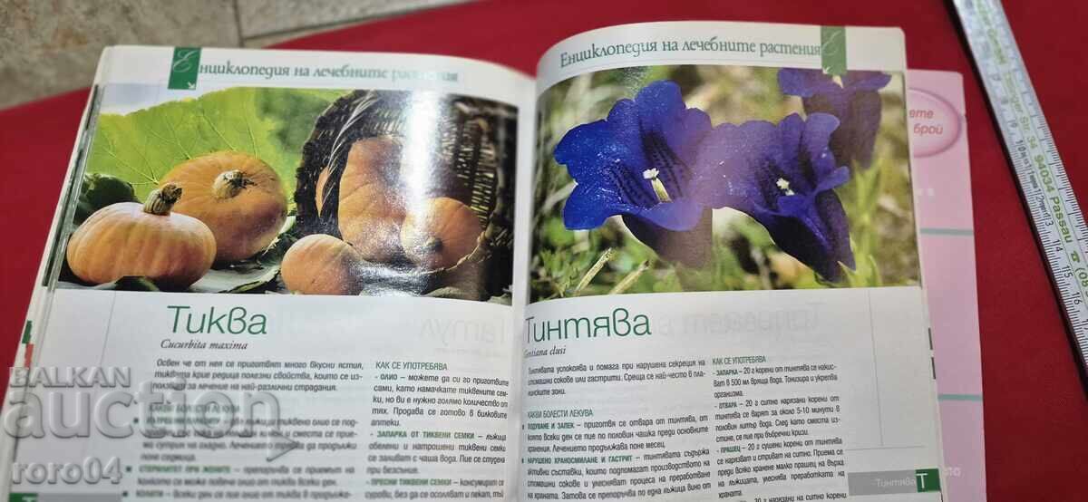 ΕΓΚΥΚΛΟΠΑΙΔΕΙΑ ΤΩΝ ΘΕΡΑΠΕΥΤΙΚΩΝ ΦΥΤΩΝ - 6 ΕΓΚΥΚΛΟΠΑΙΔΕΙΑ ΤΩΝ ΘΕΡΑΠΕΥΤΙΚΩΝ ΦΥΤΩΝ - 6