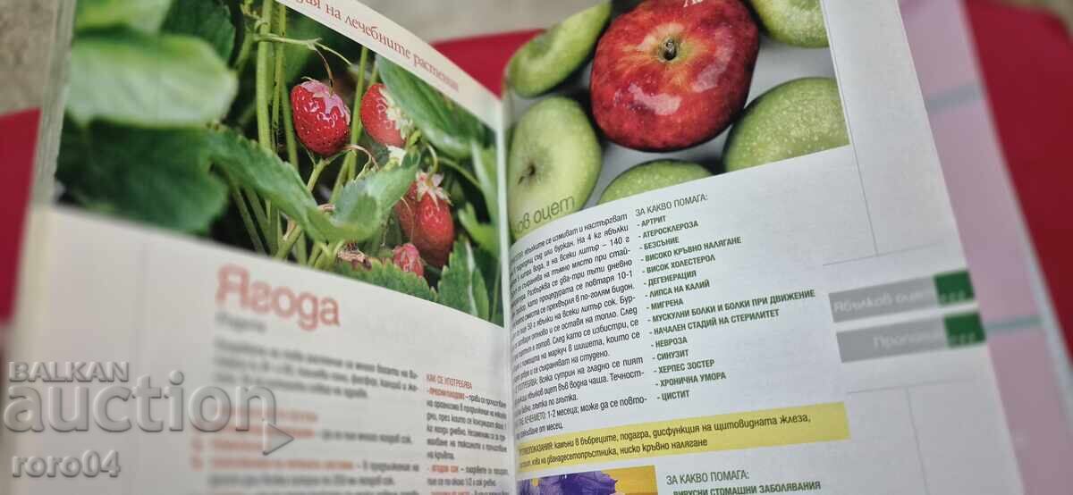 ENCYCLOPEDIA OF MEDICINAL PLANTS - 7