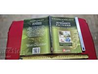 ENCYCLOPEDIA OF MEDICINAL PLANTS