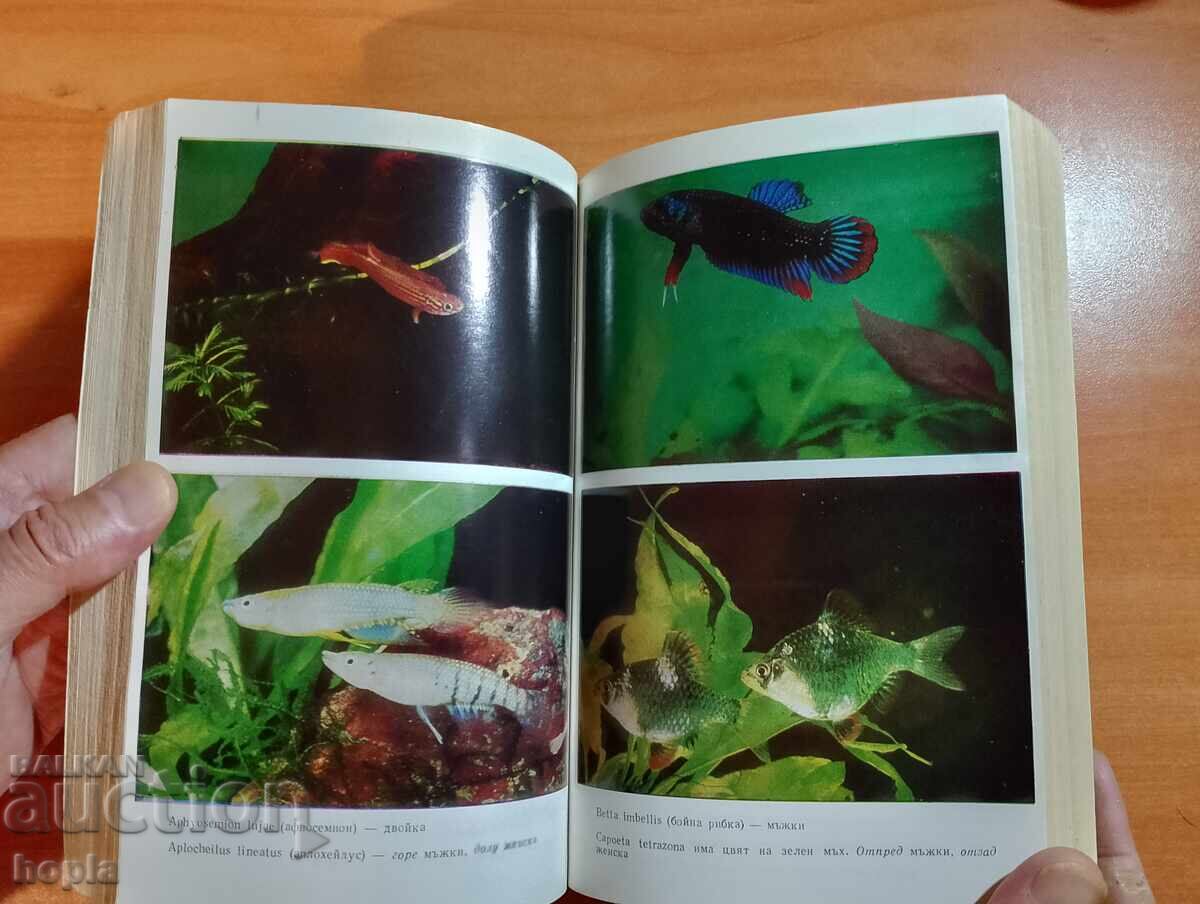 Aquarium Supplies with price 1.00 BGN | € 0.51