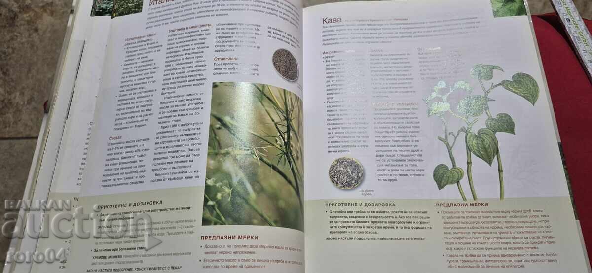 Доставка на ЛЕКАРСТВЕНИ РАСТЕНИЯ - РИЙДЪРС ДАЙДЖЕТ Доставка на ЛЕКАРСТВЕНИ РАСТЕНИЯ - РИЙДЪРС ДАЙДЖЕТ