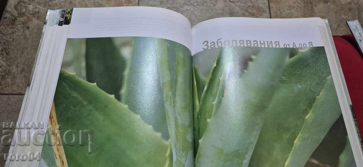 ЛЕКАРСТВЕНИ РАСТЕНИЯ - РИЙДЪРС ДАЙДЖЕТ - 6 ЛЕКАРСТВЕНИ РАСТЕНИЯ - РИЙДЪРС ДАЙДЖЕТ - 6