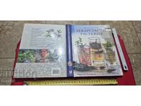 MEDICINAL PLANTS - READER'S DIGEST