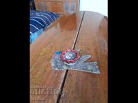 Стар игленик